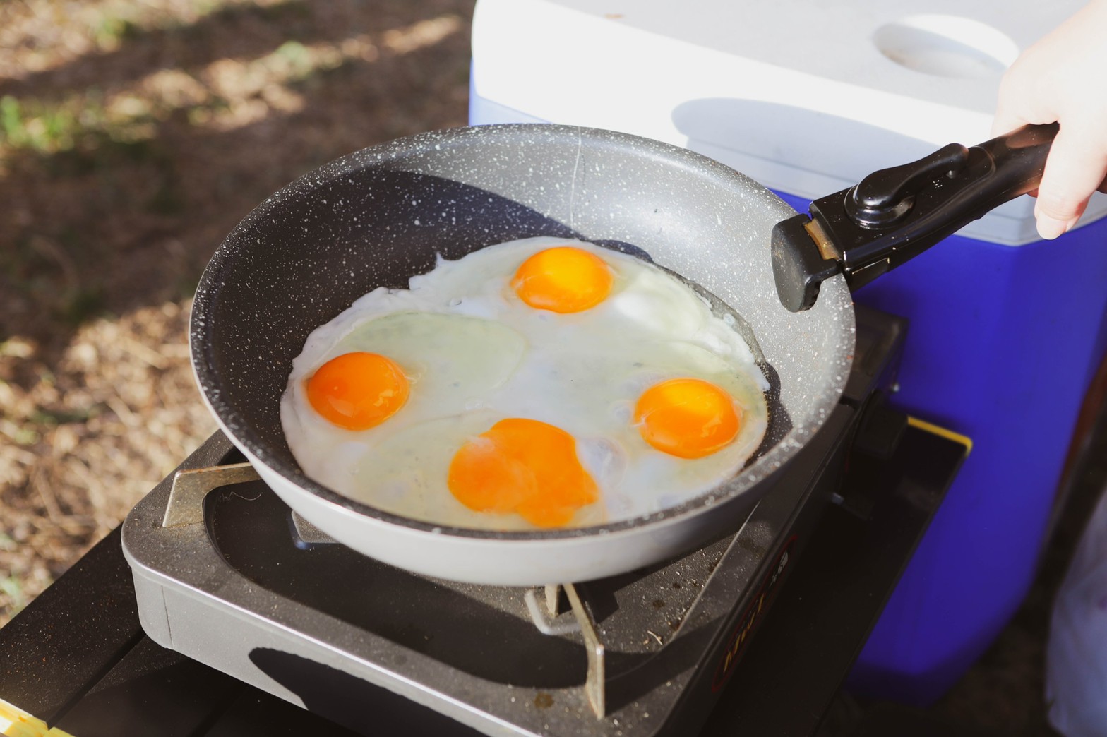 Morning Eggs