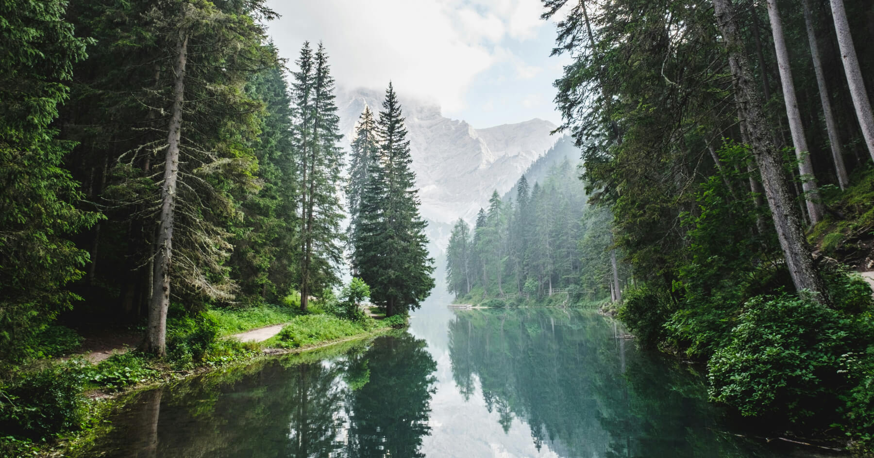 サムネイル画像: How to Start a Digital Detox: First Steps and My Own Practices