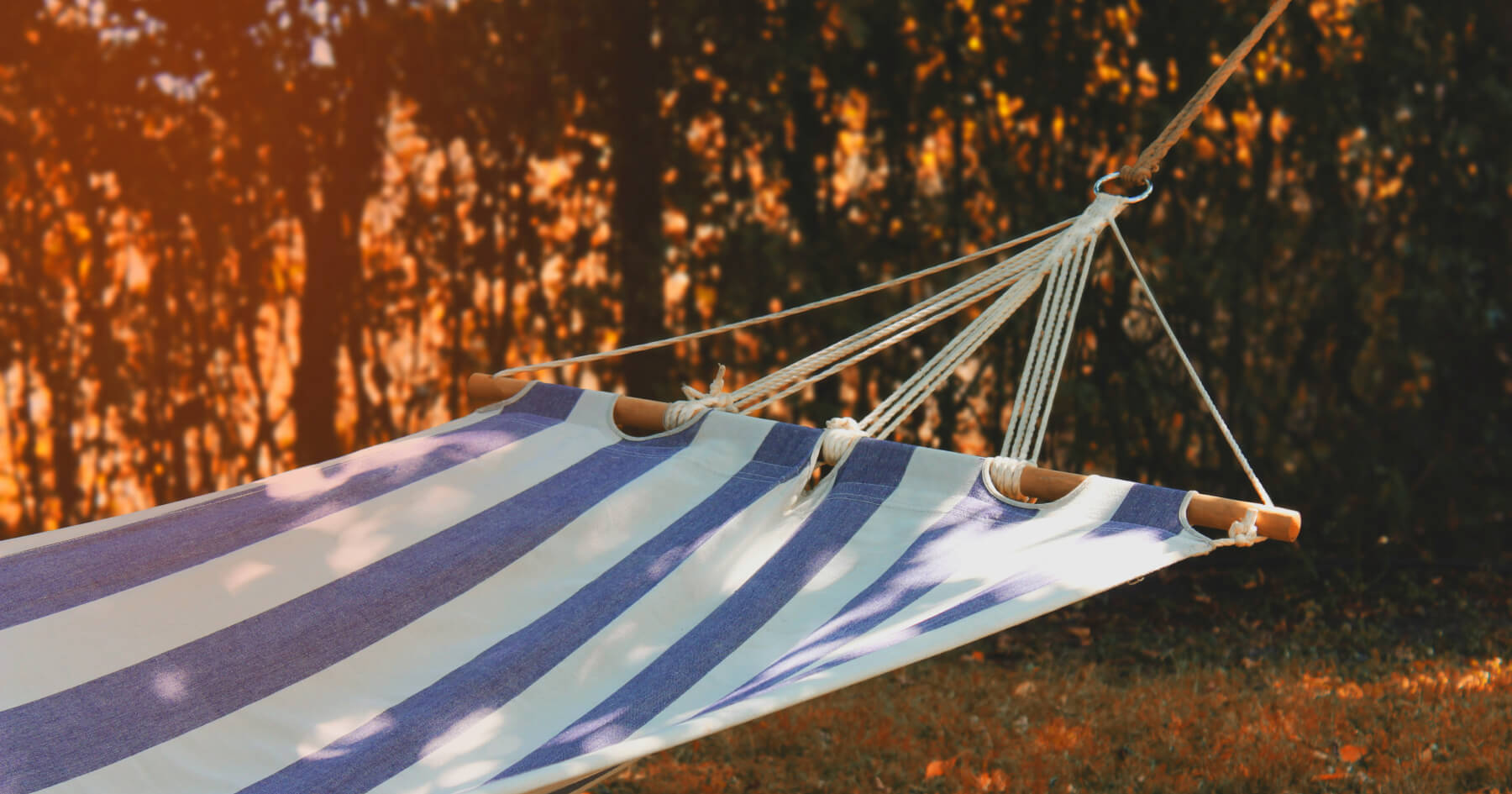 サムネイル画像: How to Take Breaks to Maximize Productivity: Optimizing Timing and Duration